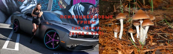 амфетамин Краснослободск