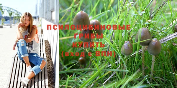 дурь Алзамай