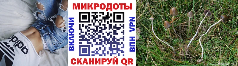 Псилоцибиновые грибы прущие грибы  наркотики  Костерёво 